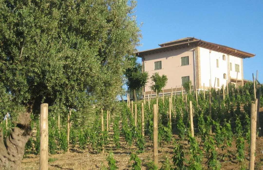 L'Orso e L'Ape B&B-1