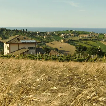 L'Orso e L'Ape B&B-2